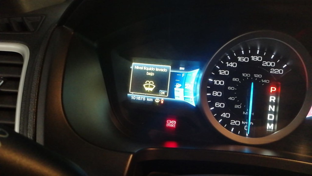 71255337_435472447098116_4681915433865969664_o